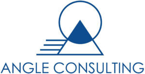 ANGLE CONSULTING LTD