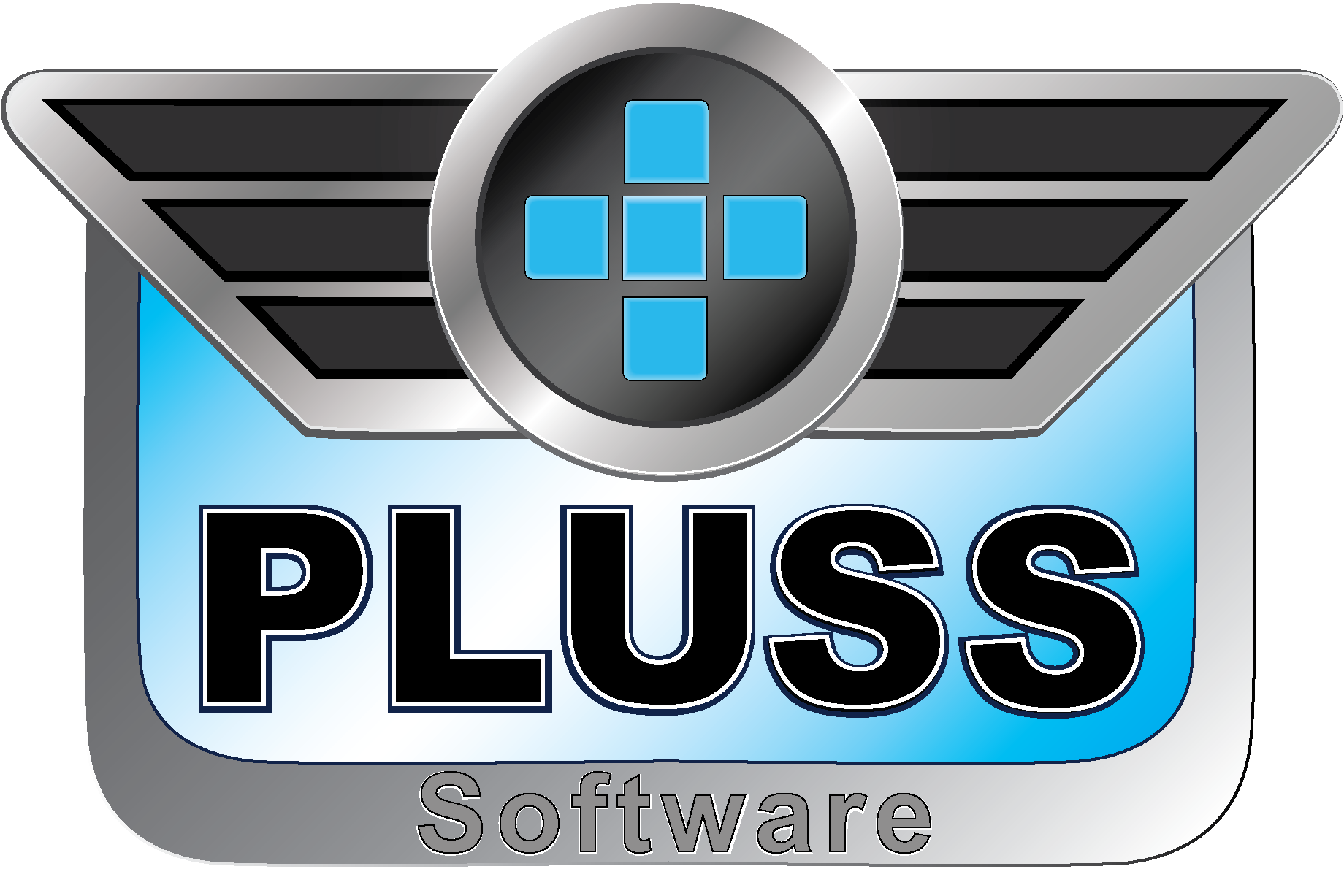 PLUSS SOFTWARE