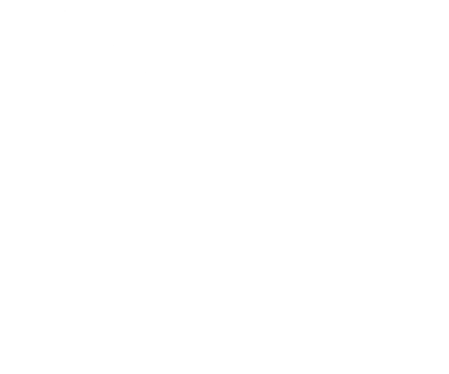 THE LOOK COMPANY