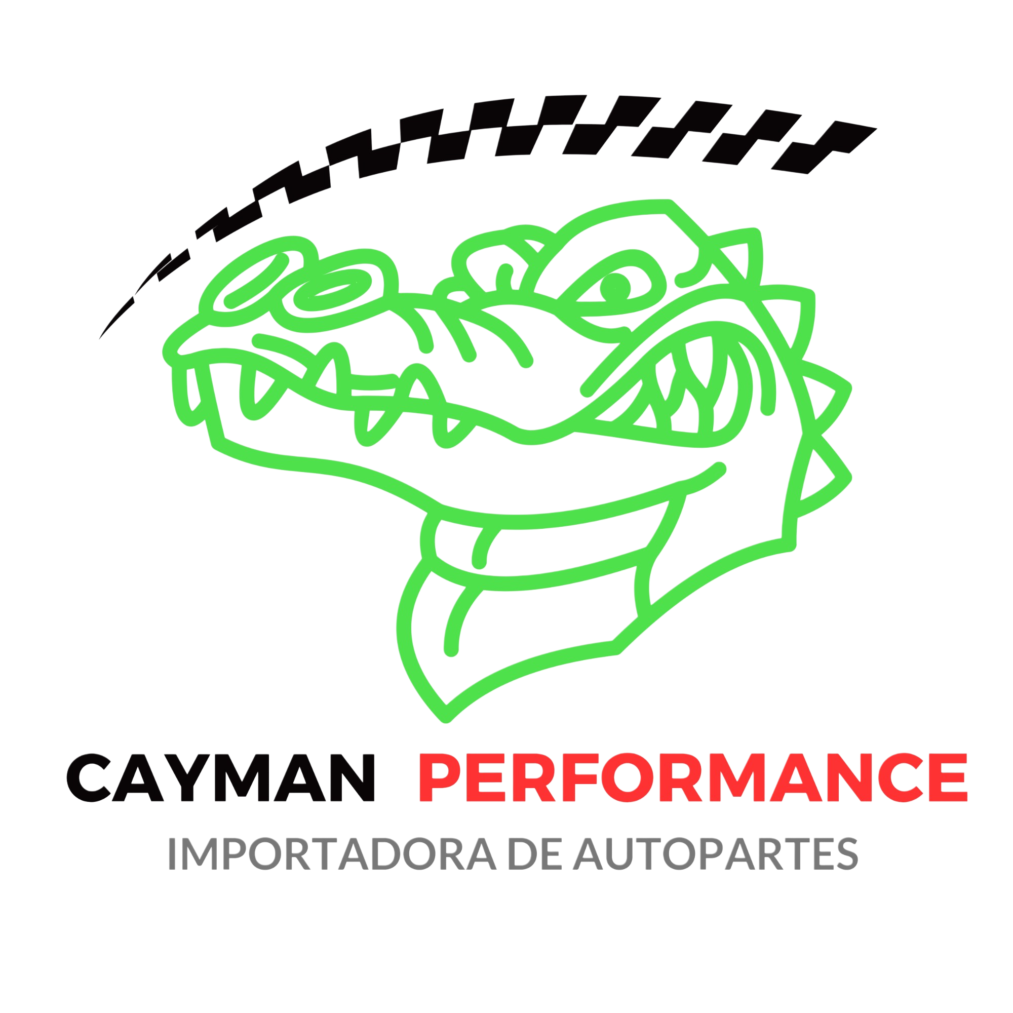 CAYMAN PERFORMANCE