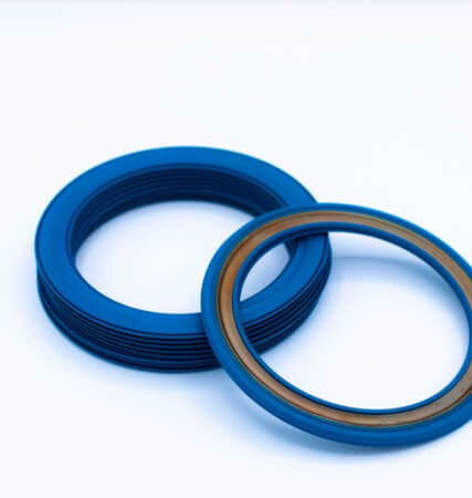 Bearing Seals