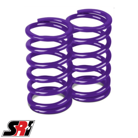 Draco Racing Springs