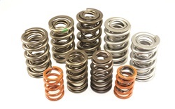 Dual Valve Spring Set