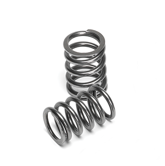 Valve Springs