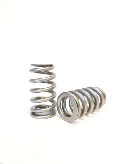 Ford Raptor Valve Springs