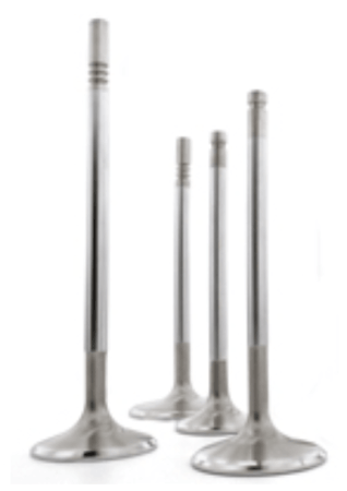6000 Series Competition Valves