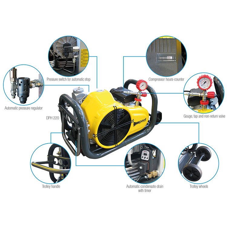 PAOLI COMPRESSOR DPH220