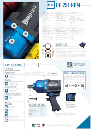 DP251 RHM