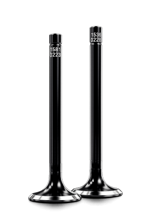 ERSON DIESEL PERFORMANCE VALVES