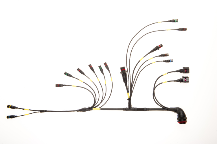 Wiring Harness / Cable Assembly