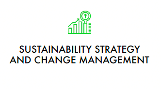 Sustainability Strategies and Change Management