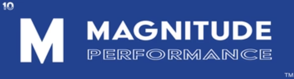 MAGNITUDE PERFORMANCE